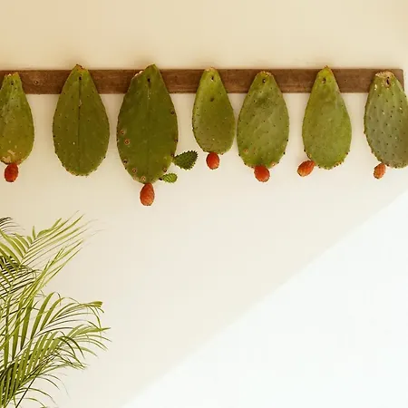 Relais L'oliveto Lägenhet Surano