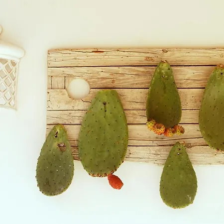 Daire Relais L'oliveto